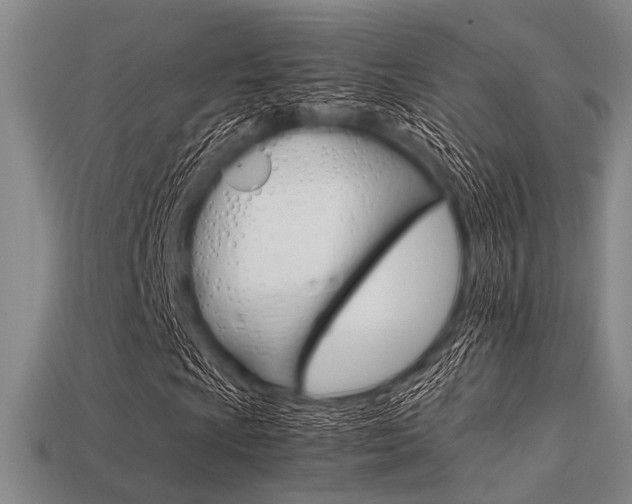 X0000113561009200909181016