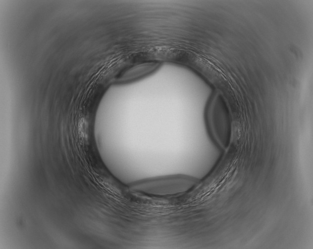 X0000113561010200909181016