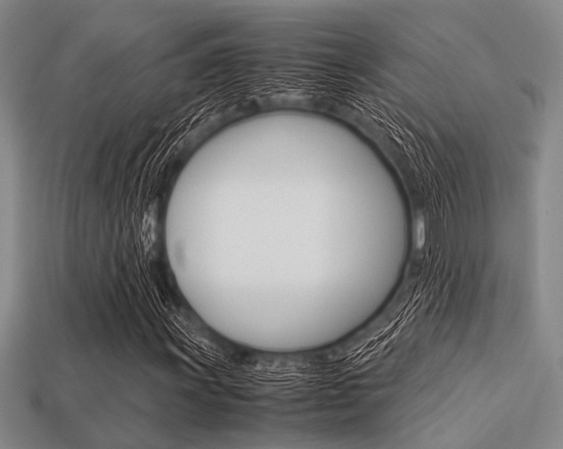 X0000113561011200909181016