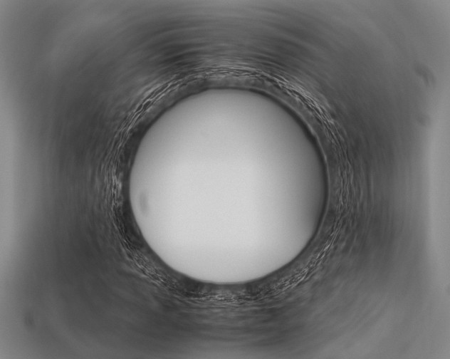 X0000113561013200909181016