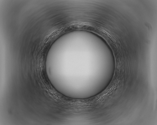 X0000113561014200909181016