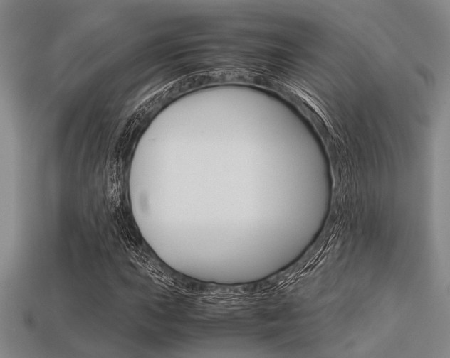 X0000113561015200909181016