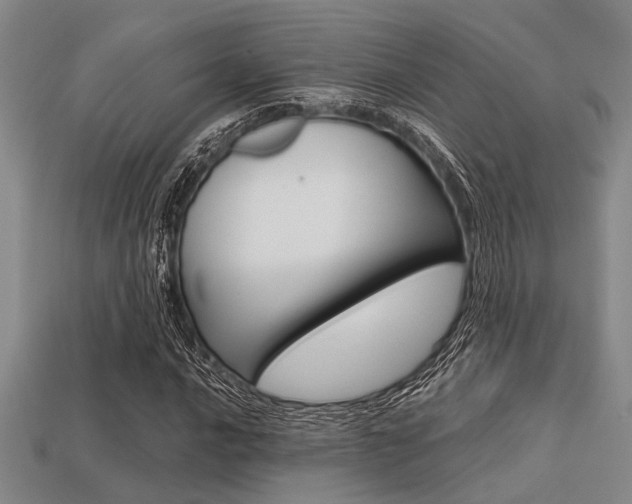 X0000113561016200909181016