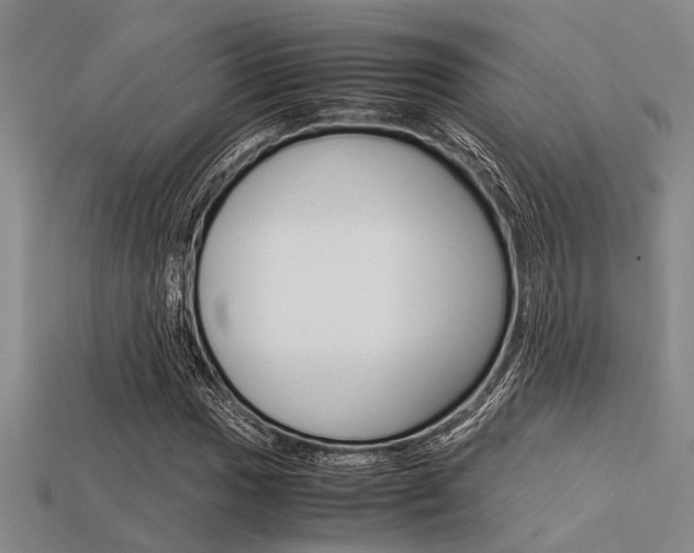 X0000113561017200909181016