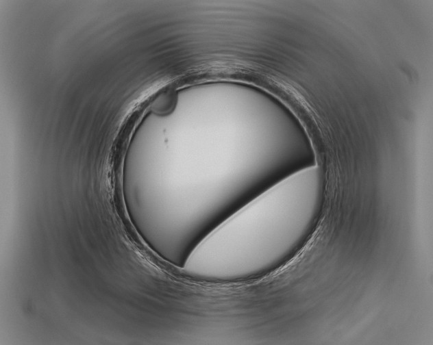 X0000113561018200909181016