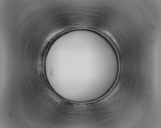 X0000113561019200909181016