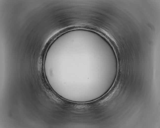 X0000113561021200909181016