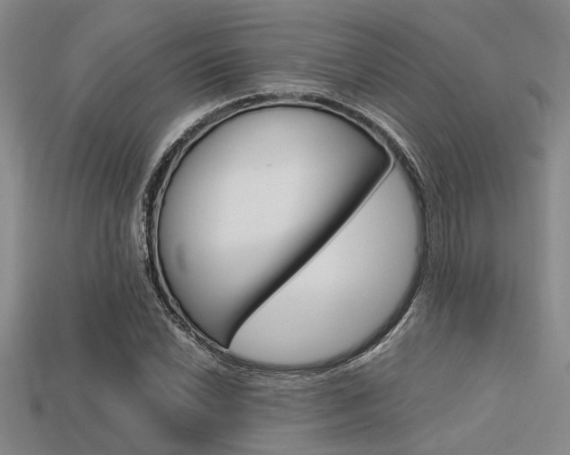 X0000113561022200909181016
