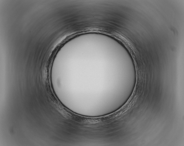 X0000113561023200909181016