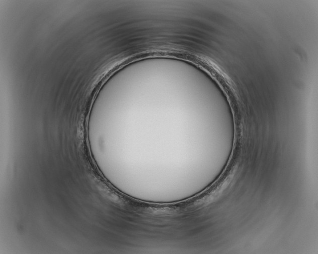 X0000113561025200909181016