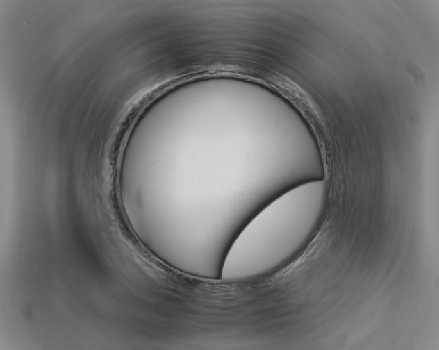 X0000113561027200909181016