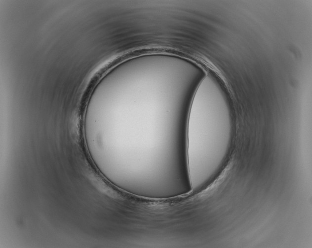X0000113561029200909181016