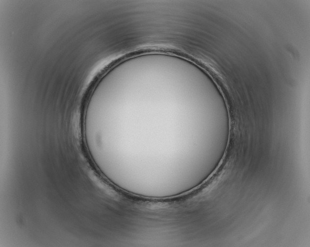 X0000113561030200909181016