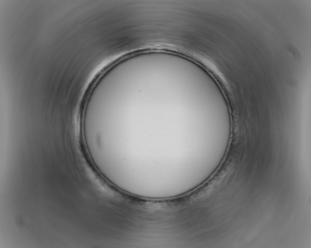 X0000113561032200909181016