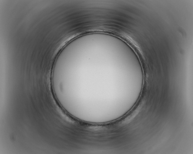 X0000113561033200909181016