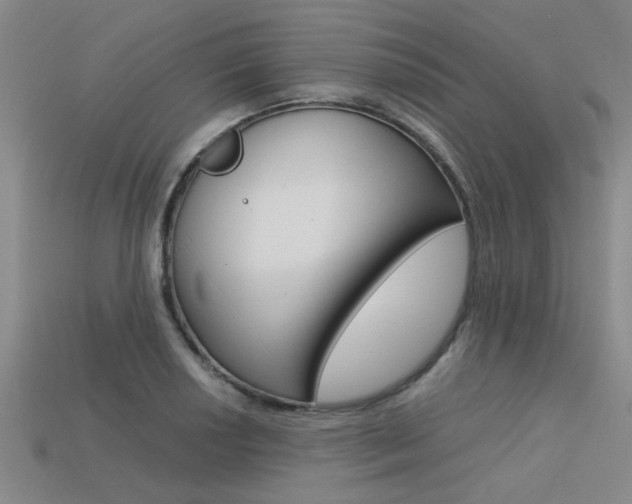 X0000113561034200909181016