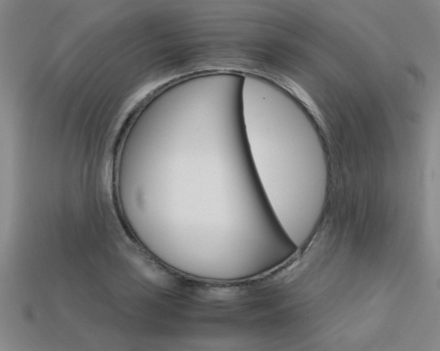 X0000113561035200909181016