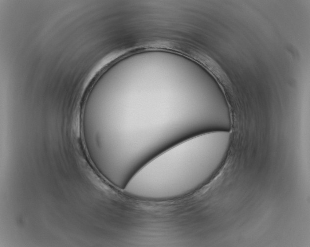 X0000113561036200909181016