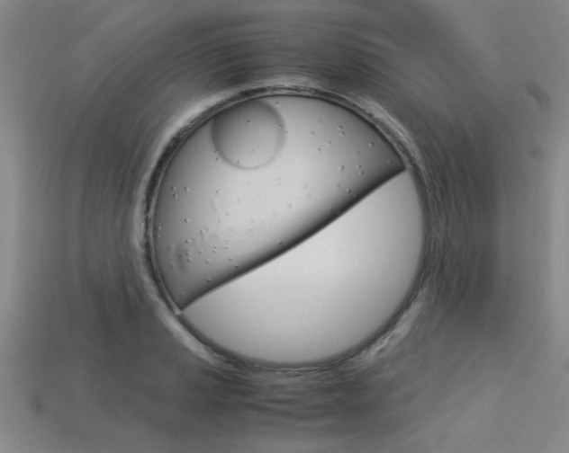 X0000113561037200909181016