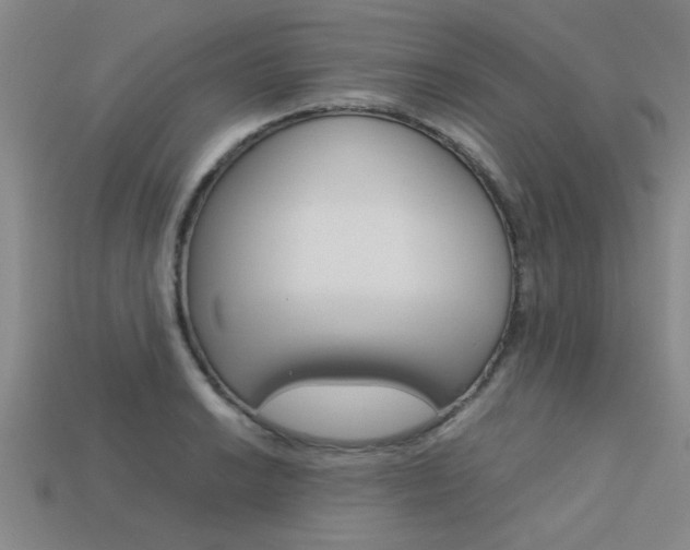 X0000113561038200909181016