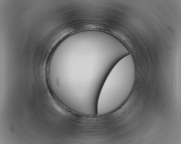 X0000113561039200909181016
