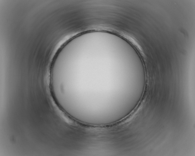 X0000113561040200909181016
