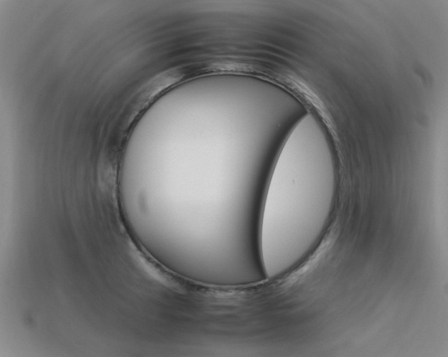 X0000113561041200909181016