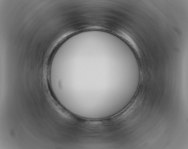 X0000113561043200909181016