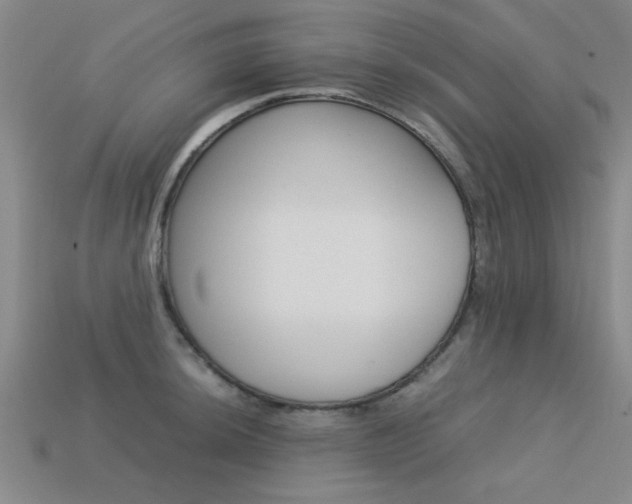 X0000113561044200909181016