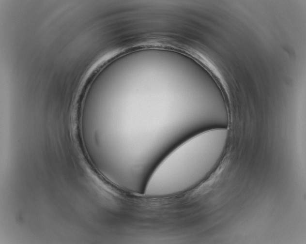 X0000113561045200909181016