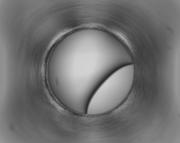 X0000113561046200909181016