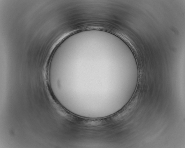 X0000113561047200909181016
