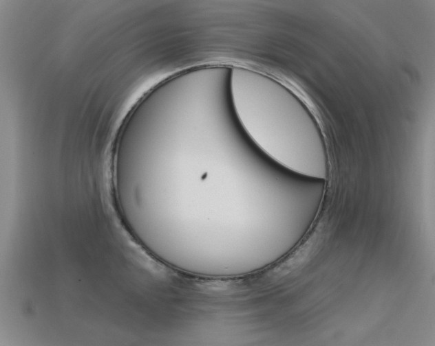 X0000113561048200909181016
