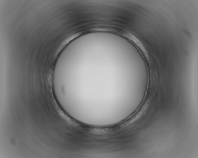 X0000113561049200909181016