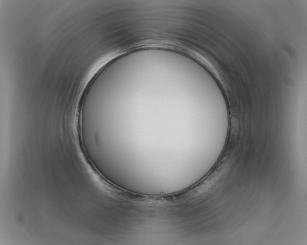 X0000113561050200909181016