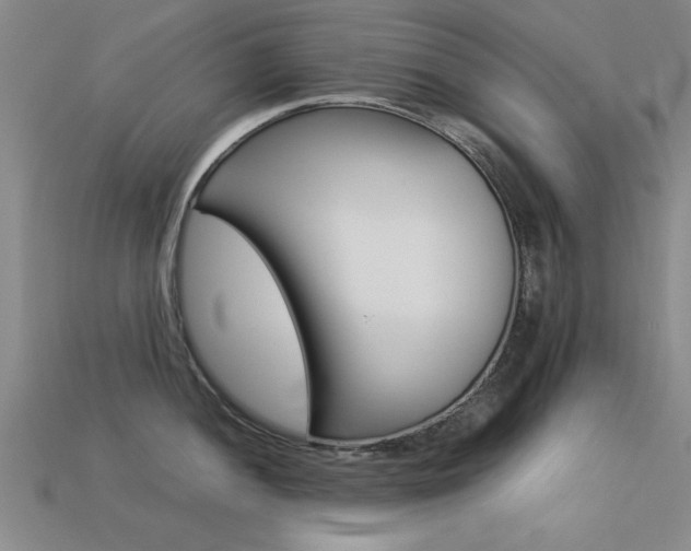 X0000113561052200909181017