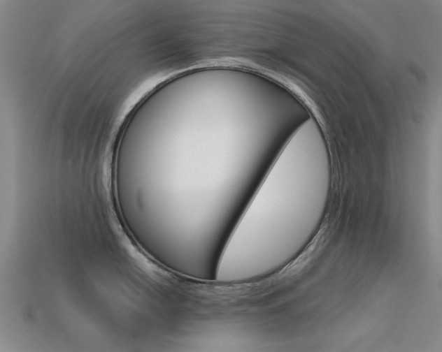 X0000113561054200909181017
