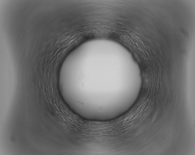 X0000113561057200909181016