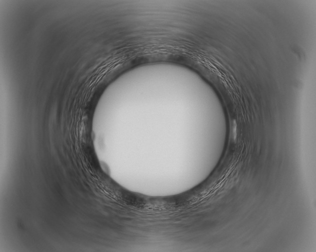 X0000113561059200909181016