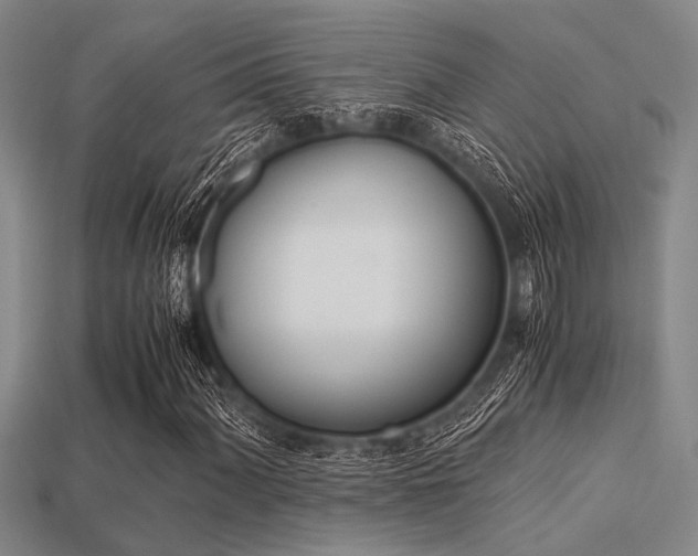 X0000113561060200909181016