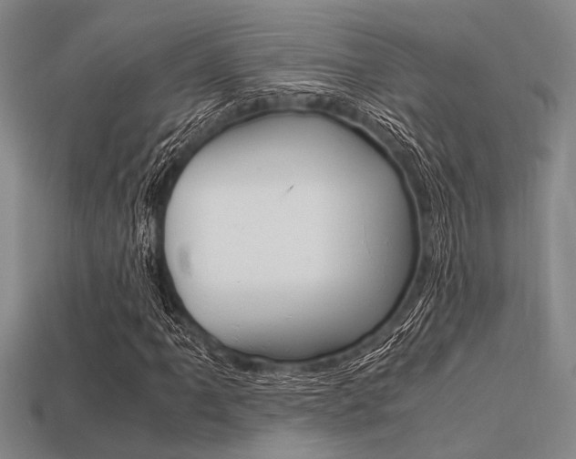 X0000113561061200909181016