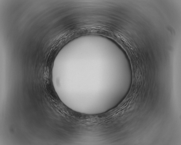 X0000113561062200909181016