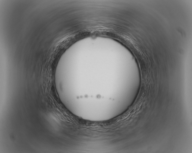 X0000113561063200909181016