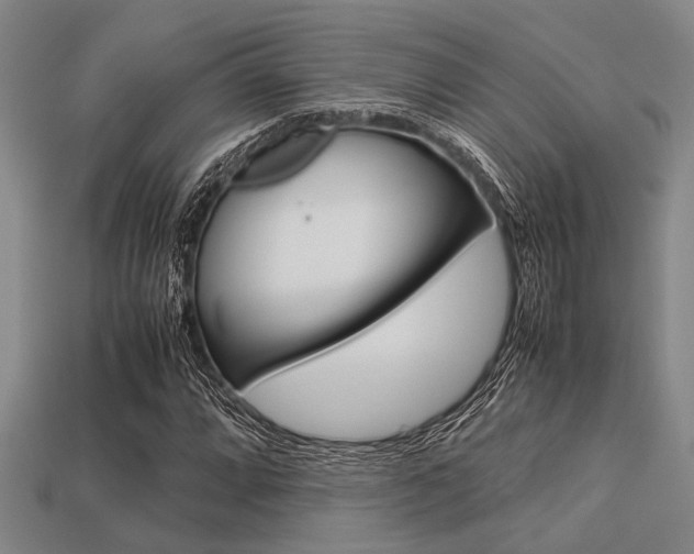 X0000113561064200909181016