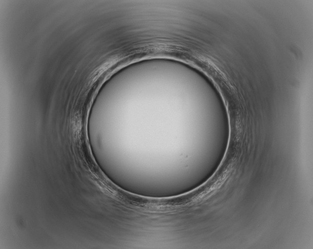 X0000113561065200909181016