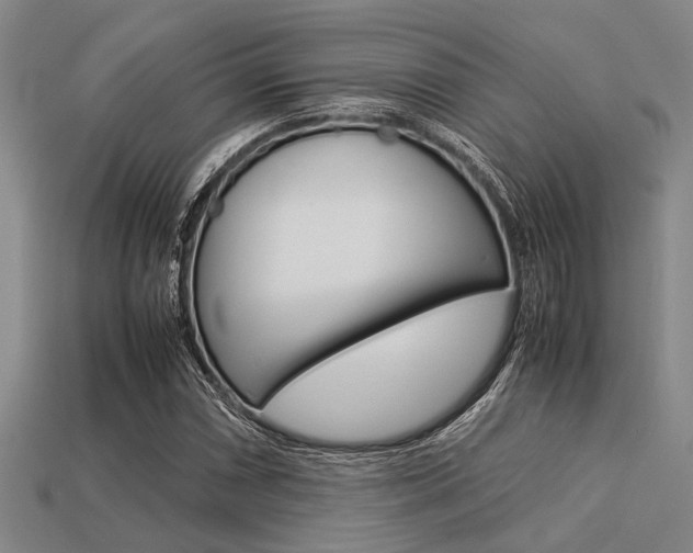 X0000113561066200909181016