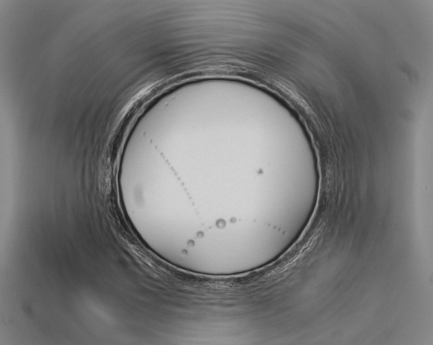X0000113561067200909181016