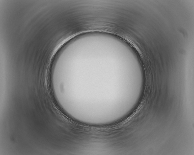 X0000113561069200909181016