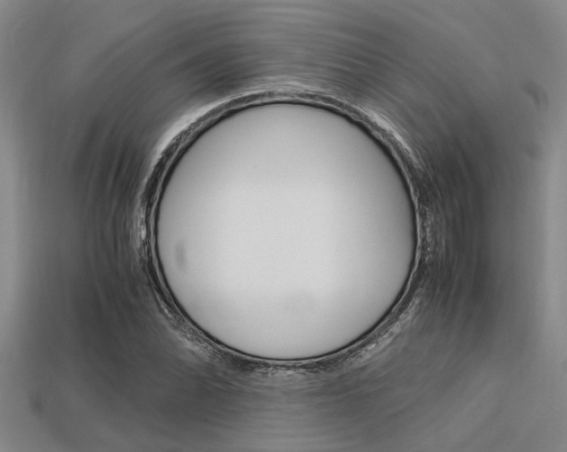 X0000113561070200909181016