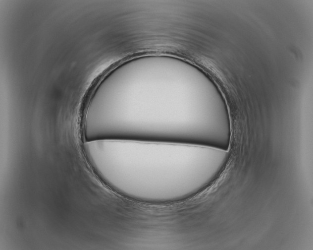 X0000113561071200909181016